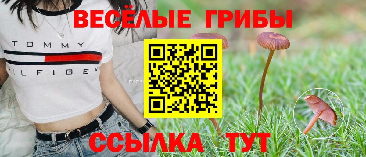Тихвин  Галлюциногенные грибы MAGIC MUSHROOMS  Вход с VPN 