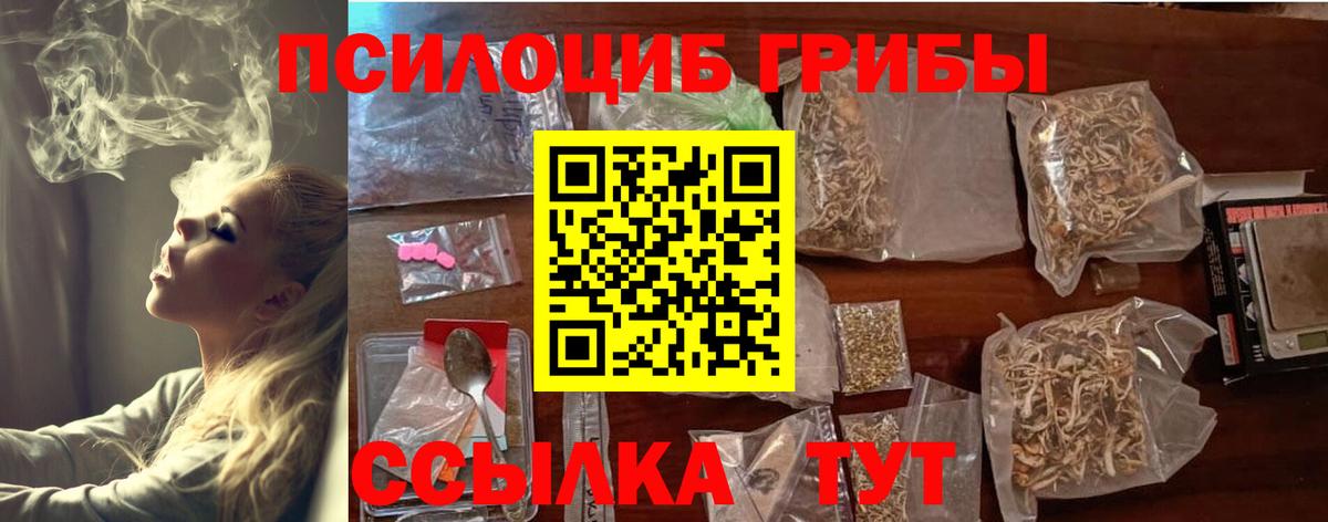 Галлюциногенные грибы Cubensis Тихвин